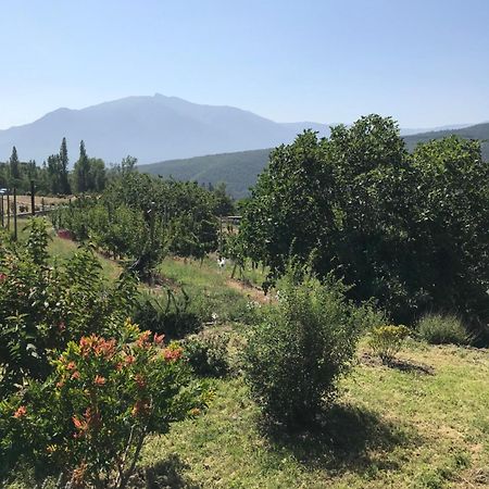 Apartament Els Pirineus Moltig les Bains Zewnętrze zdjęcie
