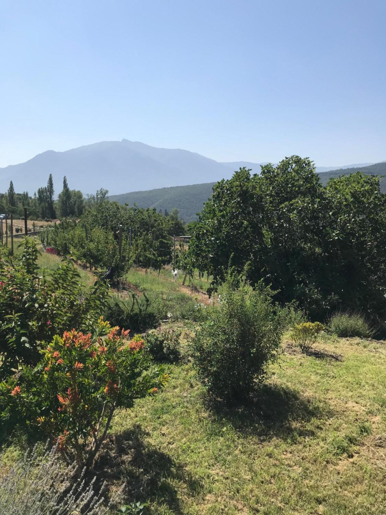 Apartament Els Pirineus Moltig les Bains Zewnętrze zdjęcie